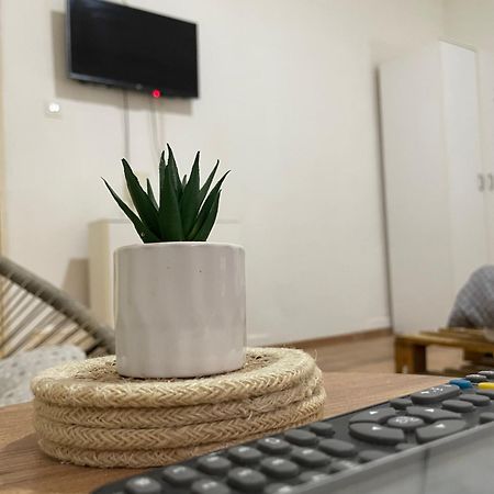 Fenix Apartman II Zaječar المظهر الخارجي الصورة