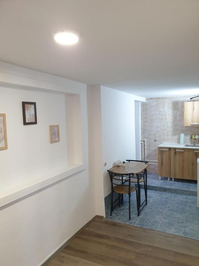 Fenix Apartman II Zaječar المظهر الخارجي الصورة