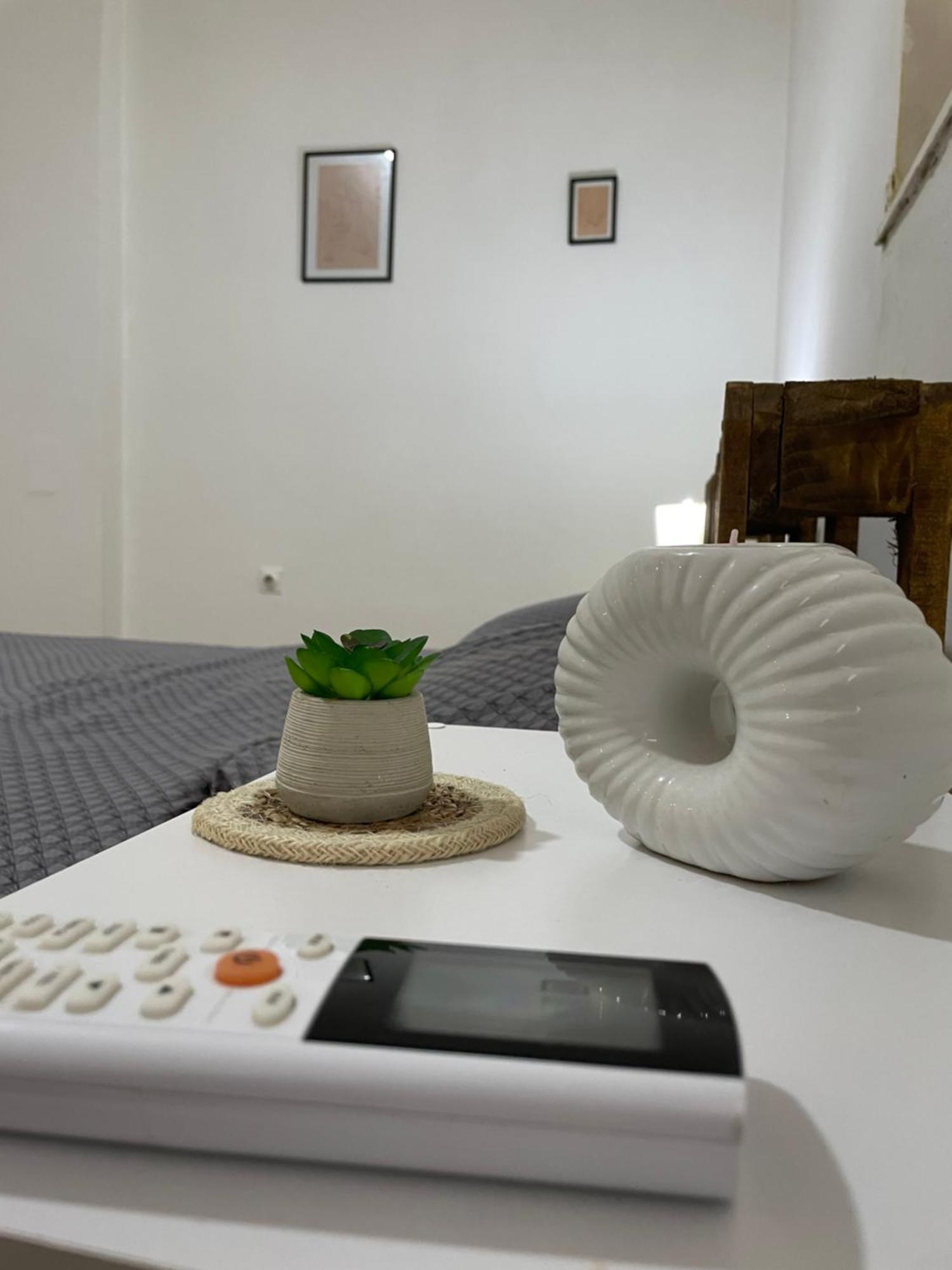 Fenix Apartman II Zaječar المظهر الخارجي الصورة