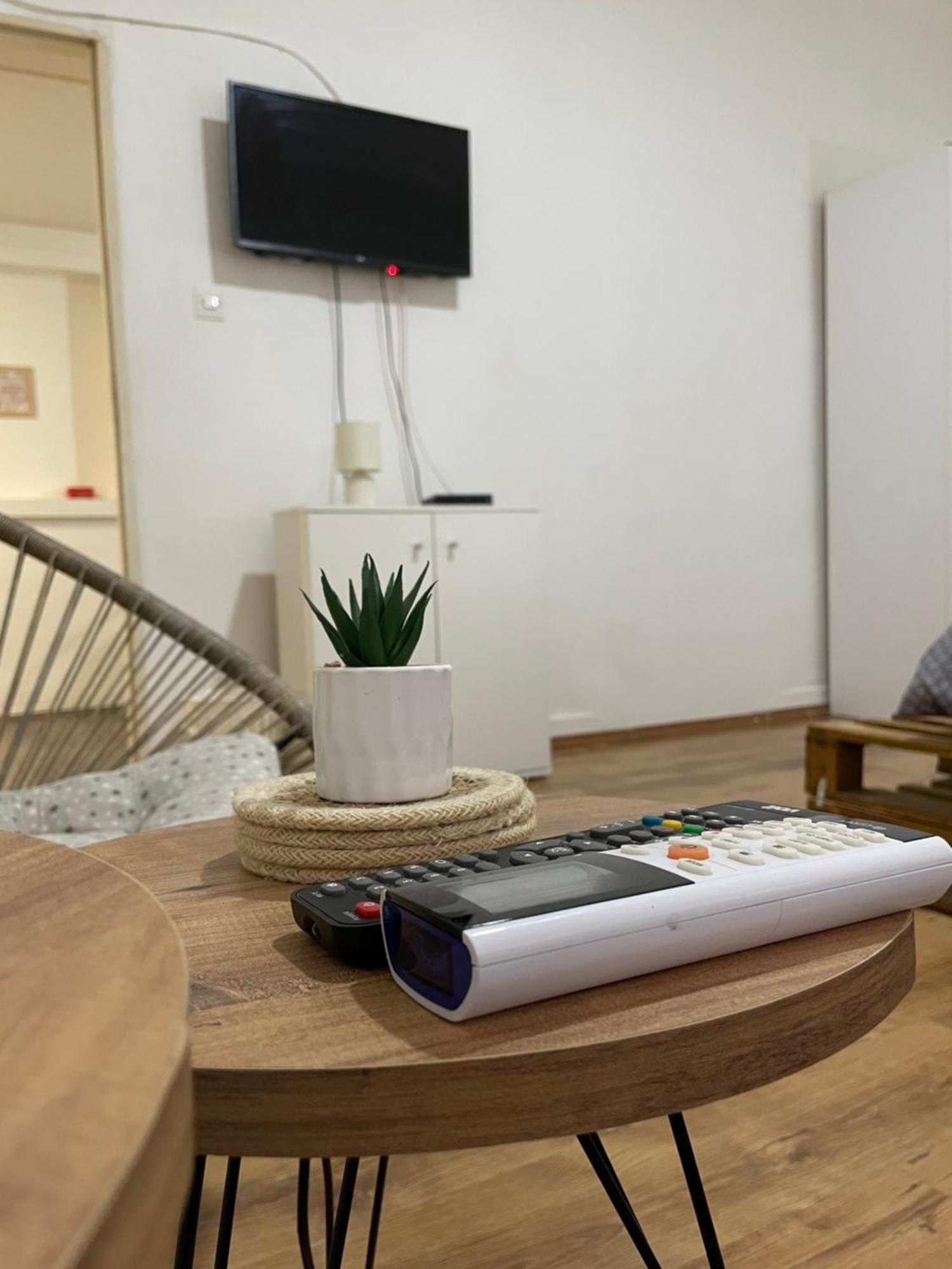 Fenix Apartman II Zaječar المظهر الخارجي الصورة