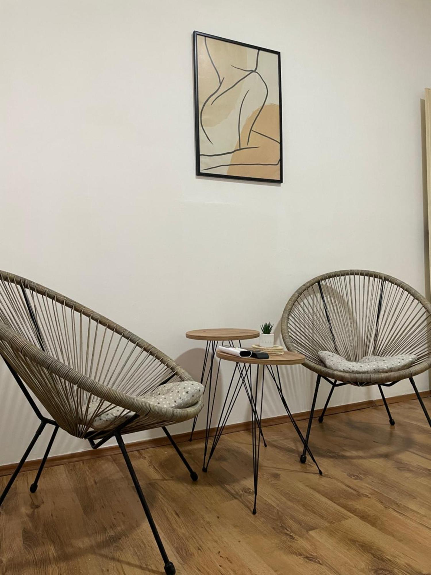 Fenix Apartman II Zaječar المظهر الخارجي الصورة